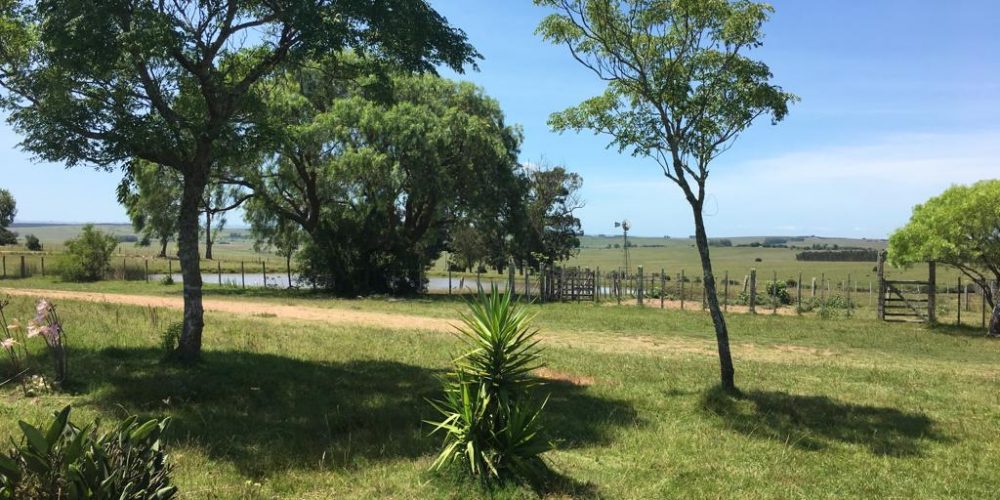 Punta del Este 10 venta de campos en Uruguay