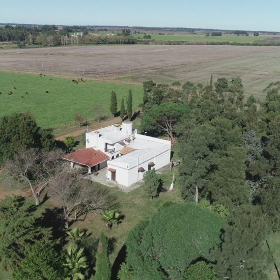Punta del Este Investments venta de chacras y campos en Uruguay