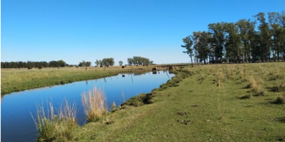 Punta del Este Investments Venta de campos en Uruguay