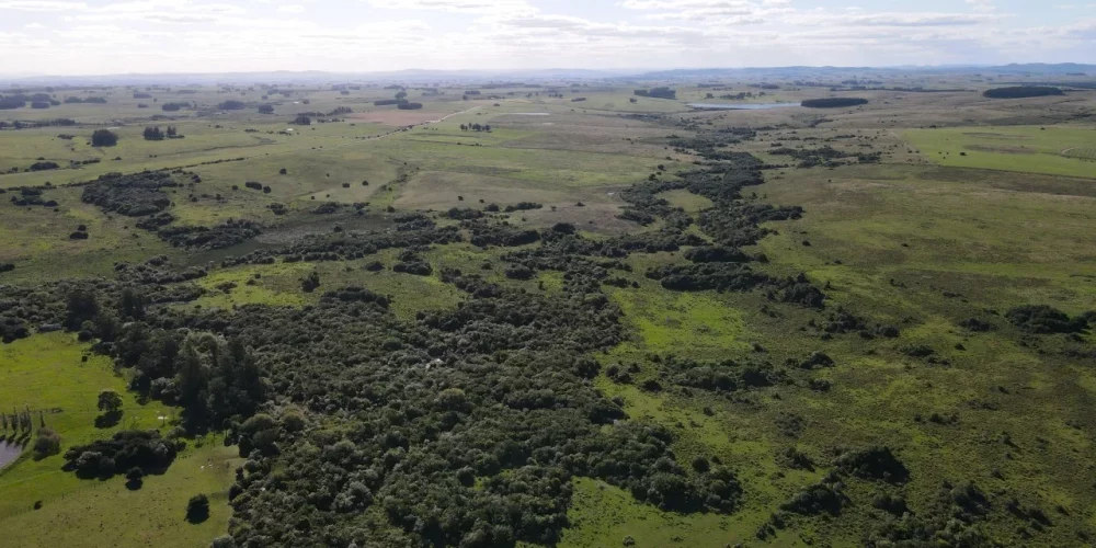 campo-161-hectareas-jose-ignacio-entorno-natural campo-161-hectareas-jose-ignacio-entorno-natural