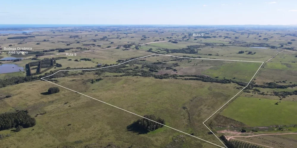 campo-161-hectareas-jose-ignacio-vista-aerea campo-161-hectareas-jose-ignacio-vista-aerea