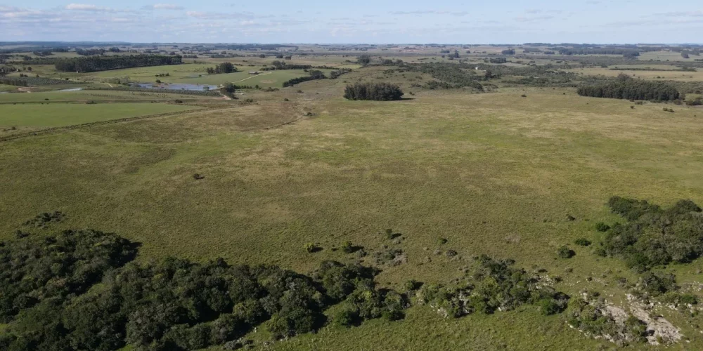 campo-en-venta-jose-ignacio-potrero-y-camino campo-en-venta-jose-ignacio-potrero-y-camino