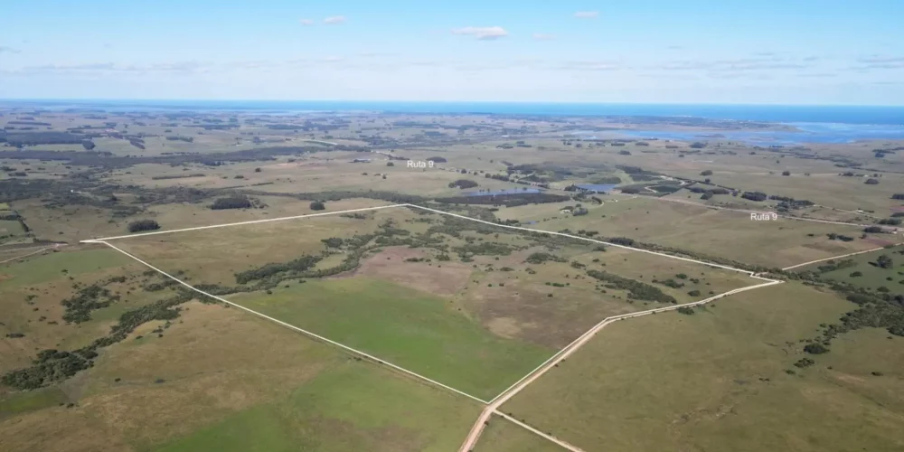 campo-en-venta-jose-ignacio-vista-aerea-ruta-9 campo-en-venta-jose-ignacio-vista-aerea-ruta-9