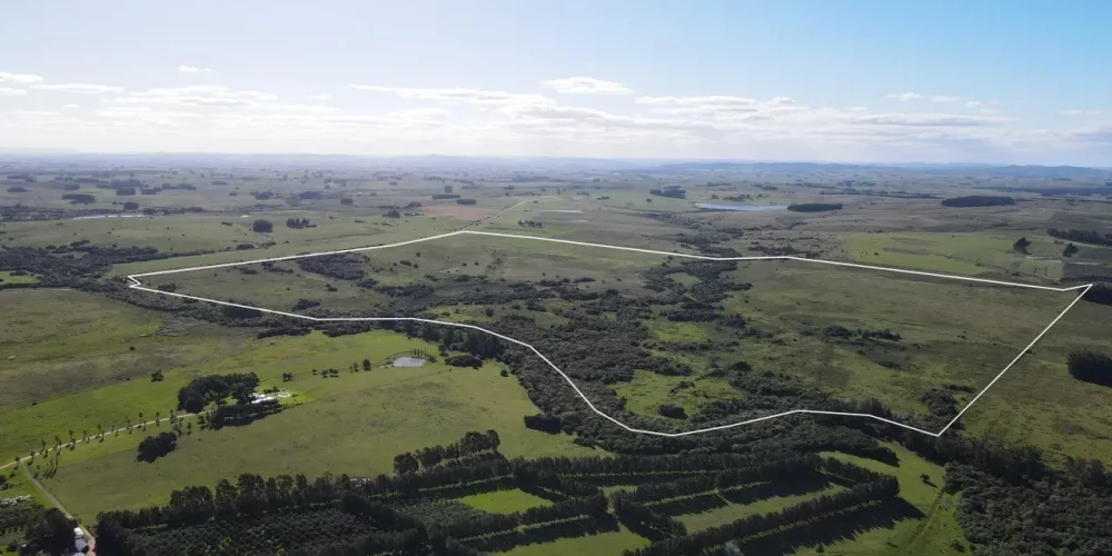 campo-en-venta-maldonado-extension-161-hectareas campo-en-venta-maldonado-extension-161-hectareas