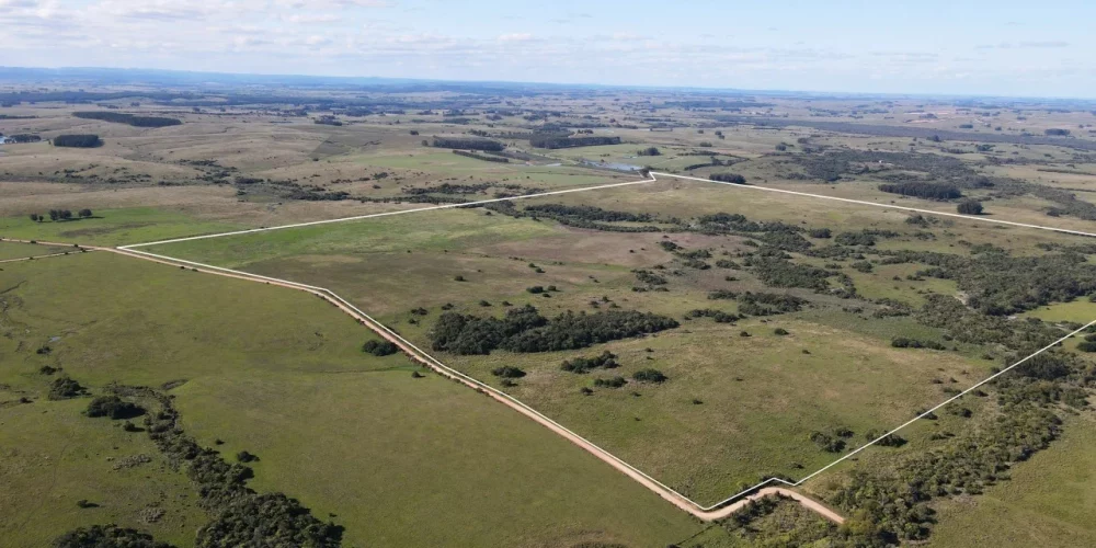 campo-jose-ignacio-relieve-ondulado-monte-nativo campo-jose-ignacio-relieve-ondulado-monte-nativo